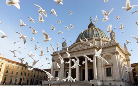 金融系統開發案例