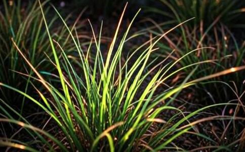 品牌形象設(shè)計