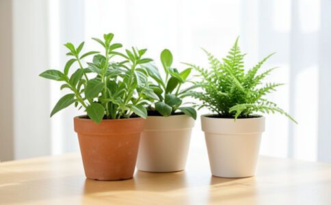 品牌形象設(shè)計