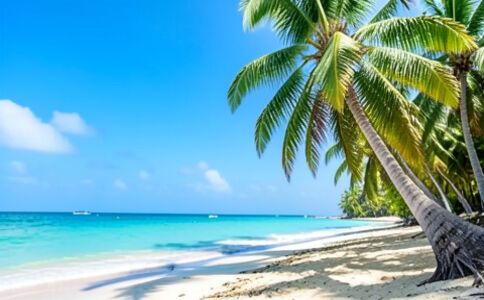 陽泉市廣佳盛貿易有限公司