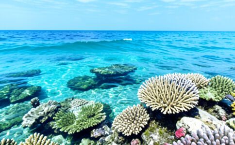 金融系統開發案例