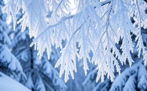 金融系統開發案例