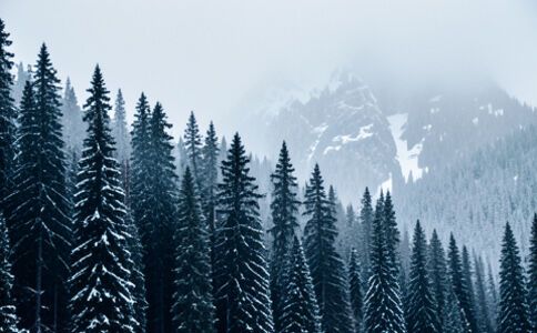 金融系統開發案例