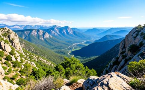 品牌形象設(shè)計(jì)