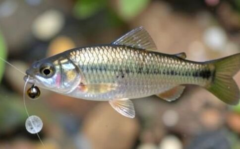 醫療系統集成案例