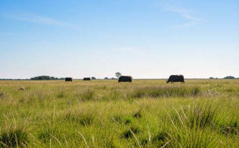陽泉市廣佳盛貿(mào)易有限公司