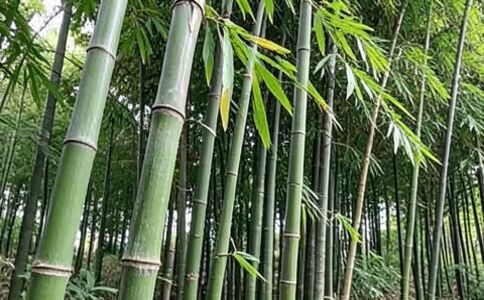 金融系統(tǒng)開發(fā)案例