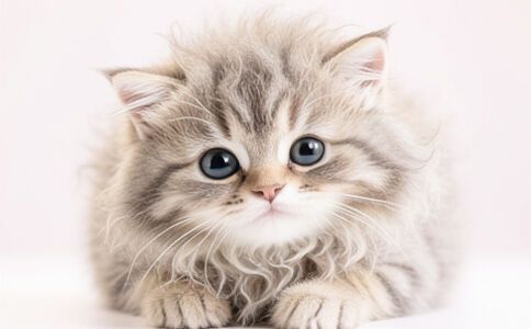 陽泉市廣佳盛貿易有限公司