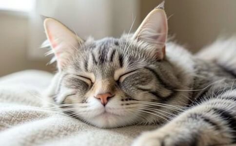 陽泉市廣佳盛貿易有限公司