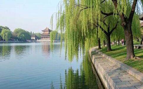 金融系統開發案例