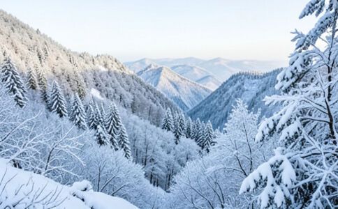 業(yè)務(wù)圖片