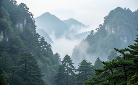 陽泉市廣佳盛貿易有限公司