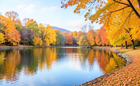 醫(yī)療健康案例