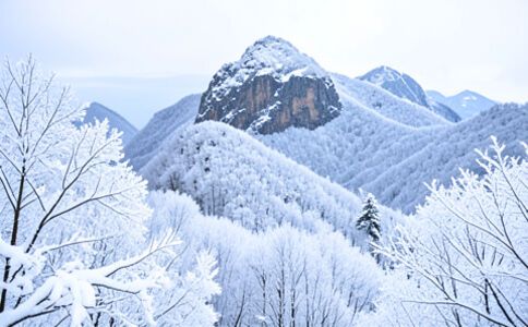 電商平臺升級案例