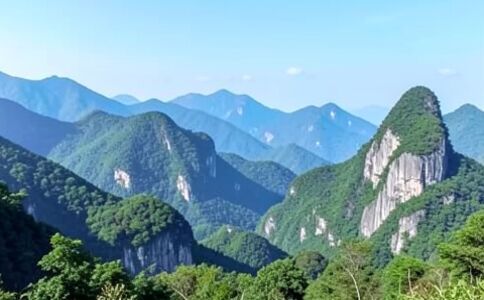 醫療系統集成案例