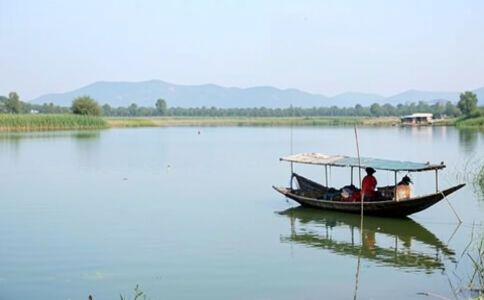 電商平臺升級案例