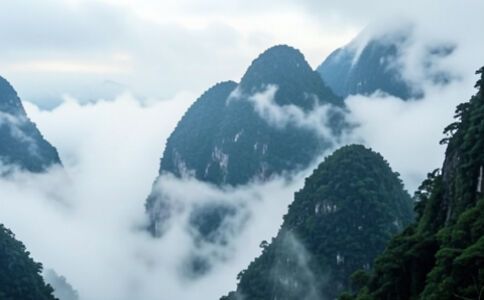 陽(yáng)泉市廣佳盛貿(mào)易有限公司