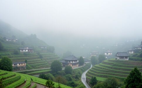 電商平臺(tái)升級(jí)案例