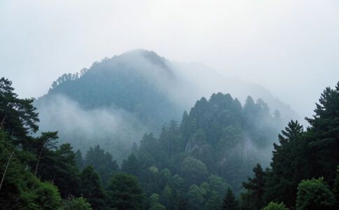 醫(yī)療健康案例