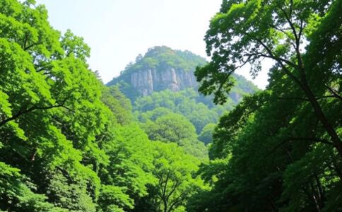 陽泉市廣佳盛貿易有限公司