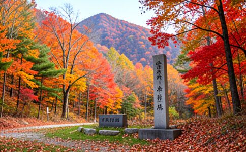 陽泉市廣佳盛貿易有限公司