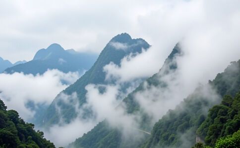 陽泉市廣佳盛貿易有限公司