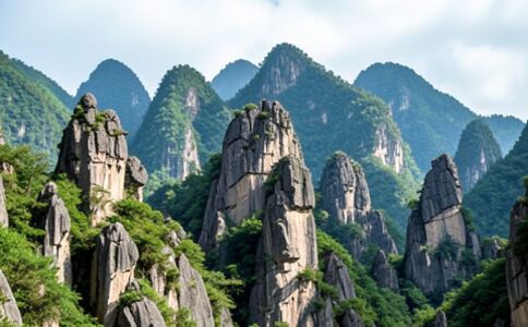 品牌形象設(shè)計(jì)