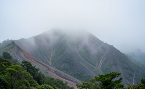 金融系統開發案例