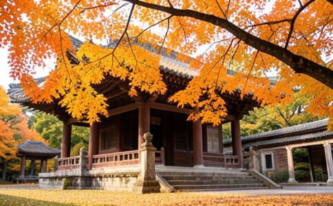 醫療系統集成案例