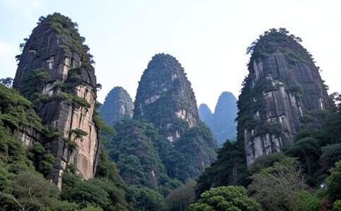 醫療系統集成案例