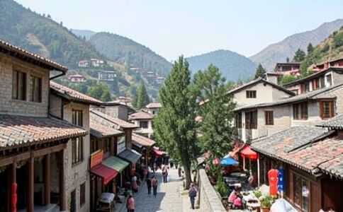 醫療系統集成案例