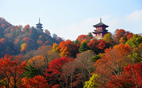 醫(yī)療系統(tǒng)集成案例