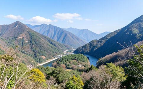 醫(yī)療健康案例