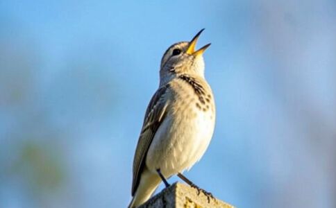 陽泉市廣佳盛貿易有限公司