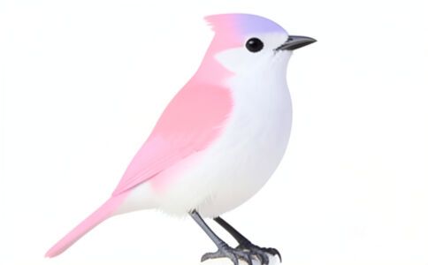 品牌形象設(shè)計