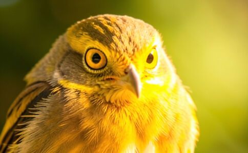 金融系統開發案例