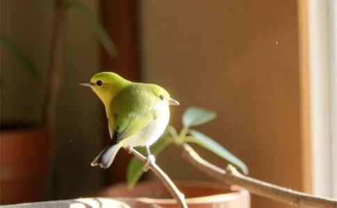 陽泉市廣佳盛貿易有限公司