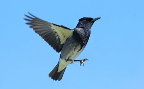 陽泉市廣佳盛貿易有限公司