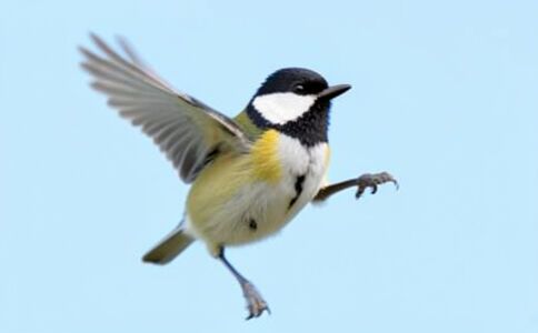 陽泉市廣佳盛貿(mào)易有限公司