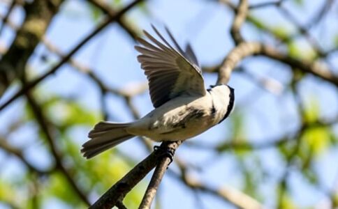 電商平臺升級案例