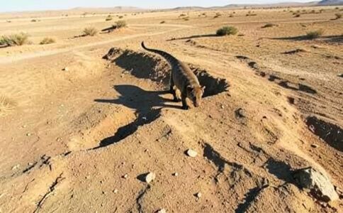 電商平臺升級案例