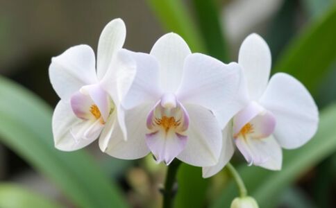 陽泉市廣佳盛貿易有限公司