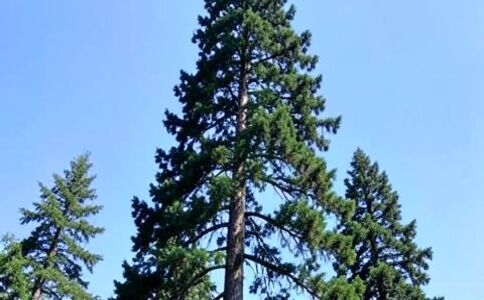 醫療系統集成案例