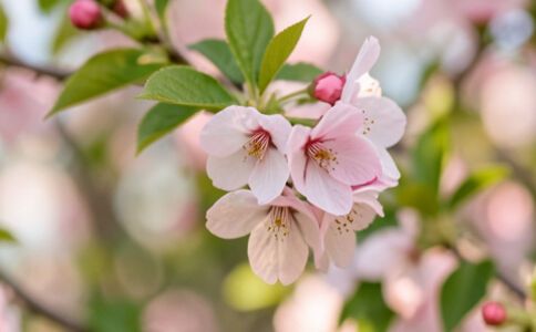 業(yè)務(wù)圖片