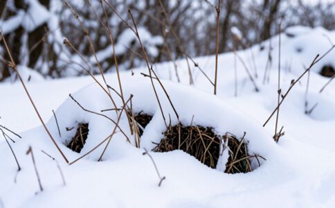 陽泉市廣佳盛貿易有限公司