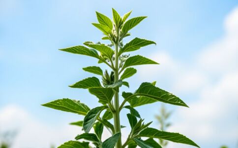 陽泉市廣佳盛貿(mào)易有限公司