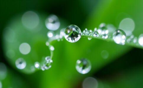 陽泉市廣佳盛貿易有限公司