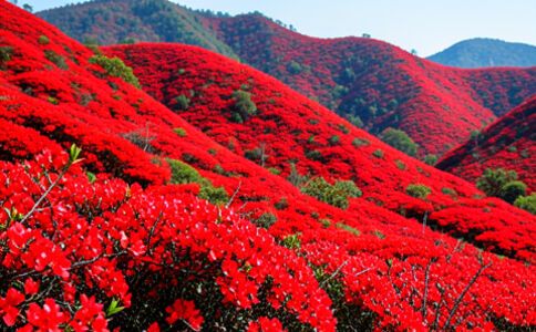 醫療系統集成案例