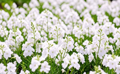 陽泉市廣佳盛貿(mào)易有限公司