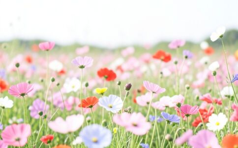 醫(yī)療健康案例